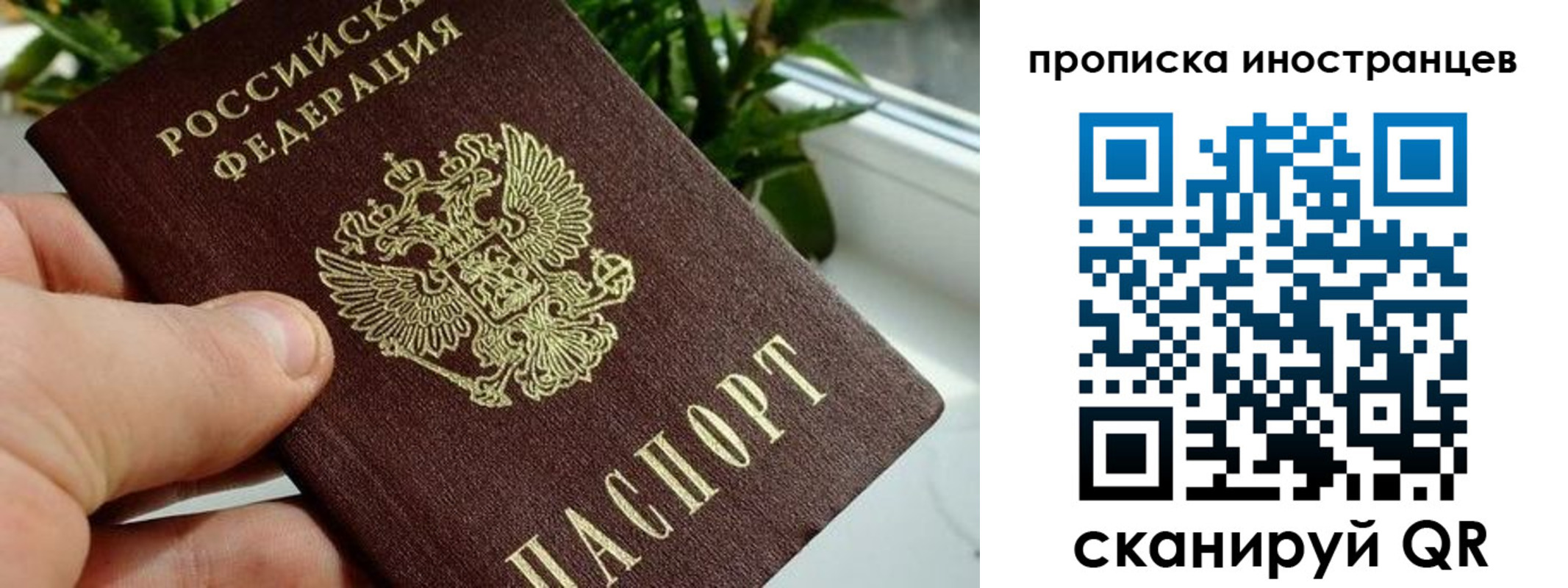 временная регистрация в Боготоле